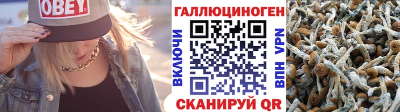 Псилоцибиновые грибы прущие грибы  Юрюзань 